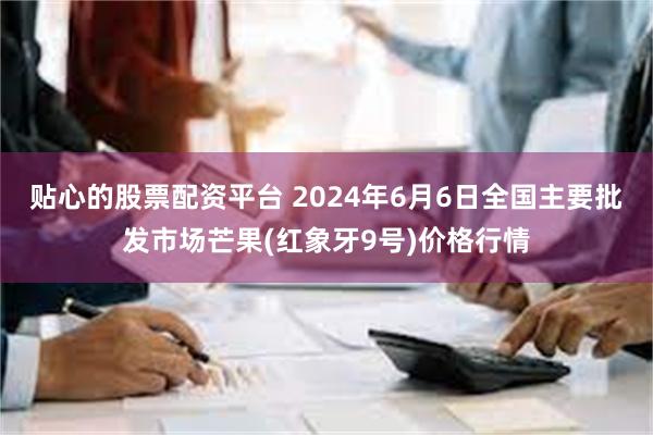 贴心的股票配资平台 2024年6月6日全国主要批发市场芒果(红象牙9号)价格行情