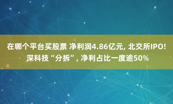 在哪个平台买股票 净利润4.86亿元, 北交所IPO! 深科技“分拆”, 净利占比一度逾50%