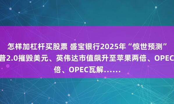 怎样加杠杆买股票 盛宝银行2025年“惊世预测”来了！川普2.0摧毁美元、英伟达市值飙升至苹果两倍、OPEC瓦解……