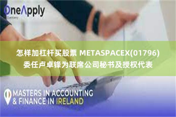 怎样加杠杆买股票 METASPACEX(01796)委任卢卓锋为联席公司秘书及授权代表