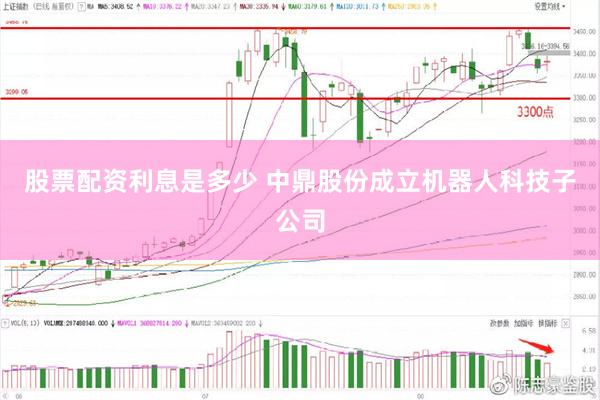 股票配资利息是多少 中鼎股份成立机器人科技子公司