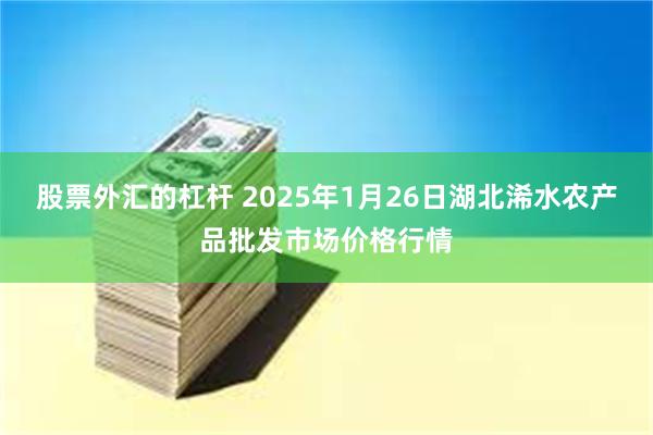 股票外汇的杠杆 2025年1月26日湖北浠水农产品批发市场价格行情