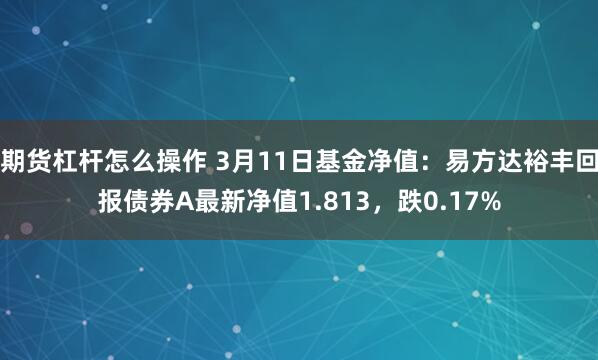 期货杠杆怎么操作 3月11日基金净值：易方达裕丰回报债券A最新净值1.813，跌0.17%